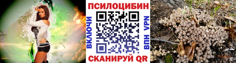 Псилоцибиновые грибы мухоморы Агрыз