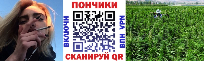МАРИХУАНА ГИДРОПОН  как найти закладки  Агрыз 